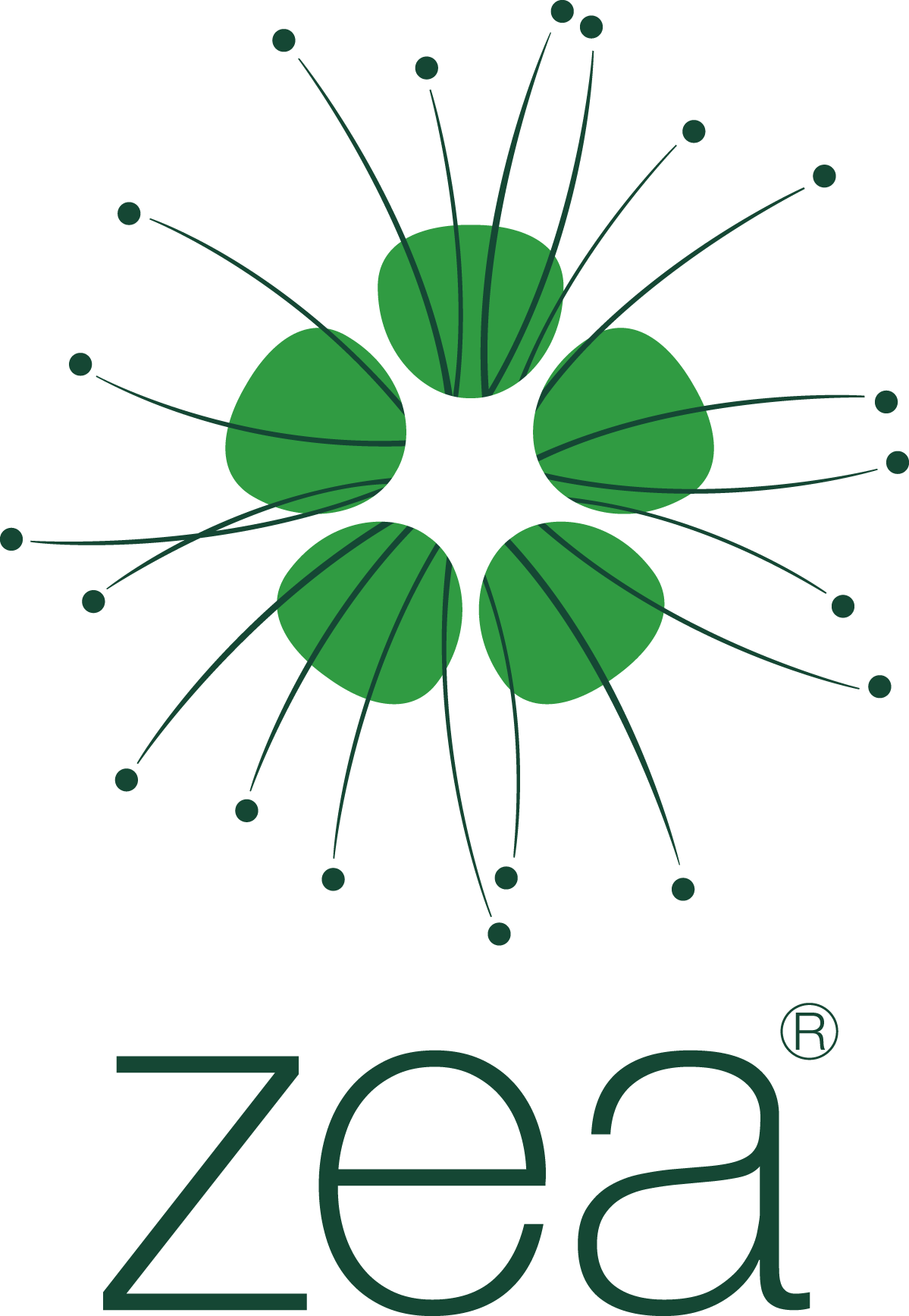 Zea logo